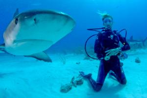 Voluntaria junto a un tiburón en Fiyi Una voluntaria del proyecto de Conservación de Tiburones junto a un tiburón en Fiyi.