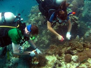 Diving and Marine Conservation in Thailand for High School Students Diving and Marine Conservation in Thailand for High School Students