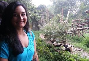 Projects Abroad Animal Care with Pandas Volunteering
