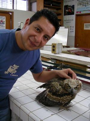 Animal hospital Guadalajara