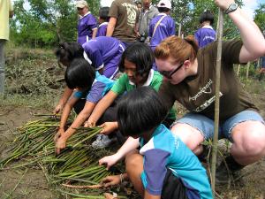 Conservation in Thailand