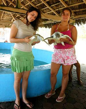 7-Day Mexico Conservation Project - Tortugas