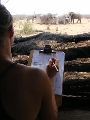 Conservation in South Africa and Botswana for High School Students Conservation in South Africa and Botswana for High School Students