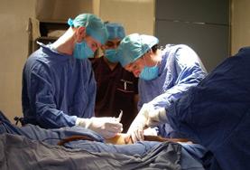 Medicina y Salud Medicina y Salud